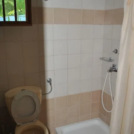 스텔리오스 슈튜디오 메갈리 아모스