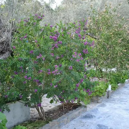 Apartament Stelios