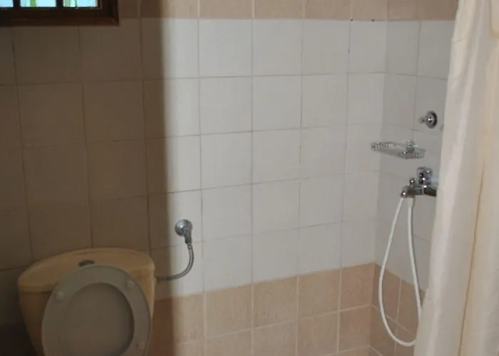 Stelios Megali Ammos (Skiathos)